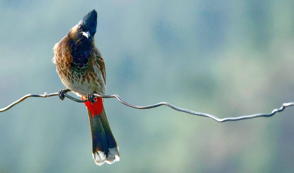 Quels sont les facteurs clés à considérer lors de la création d'une page de vente pour un cours en ligne de marketing digital ?